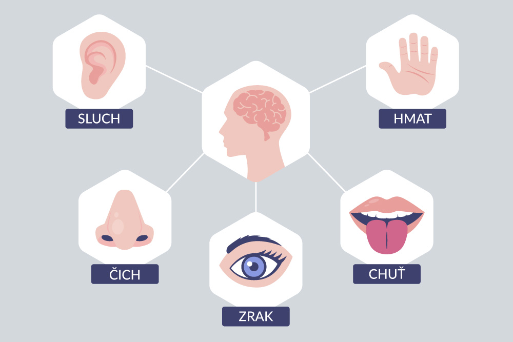 Obr. 2. Pět smyslů člověka